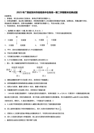 2025年广西省贺州市桂梧高中生物高一第二学期期末经典试题含解析