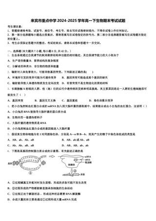 来宾市重点中学2024-2025学年高一下生物期末考试试题含解析