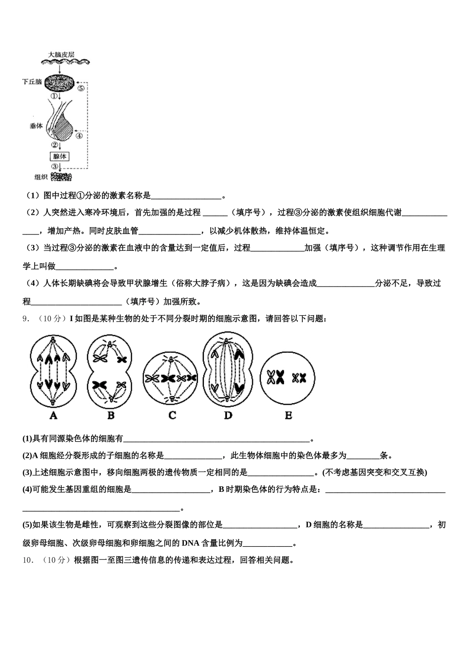 2025年广西师范大学附属中学高一下生物期末监测模拟试题含解析_第3页