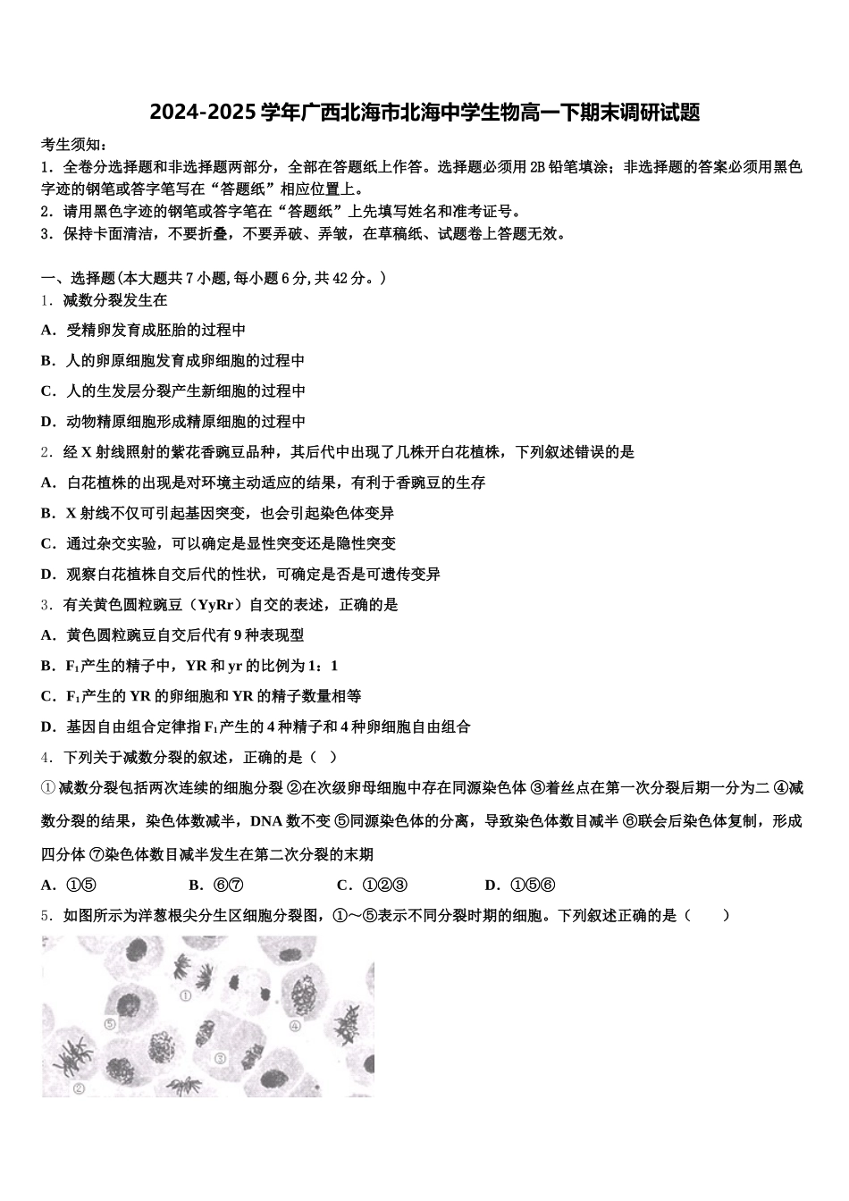 2024-2025学年广西北海市北海中学生物高一下期末调研试题含解析_第1页