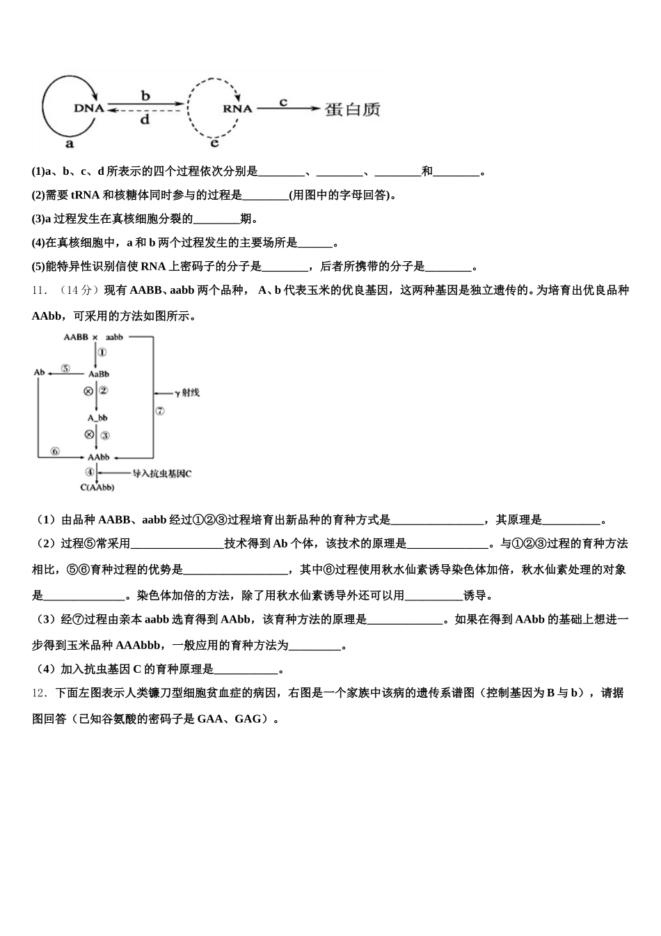 2024-2025学年广西北海市北海中学生物高一下期末调研试题含解析_第3页