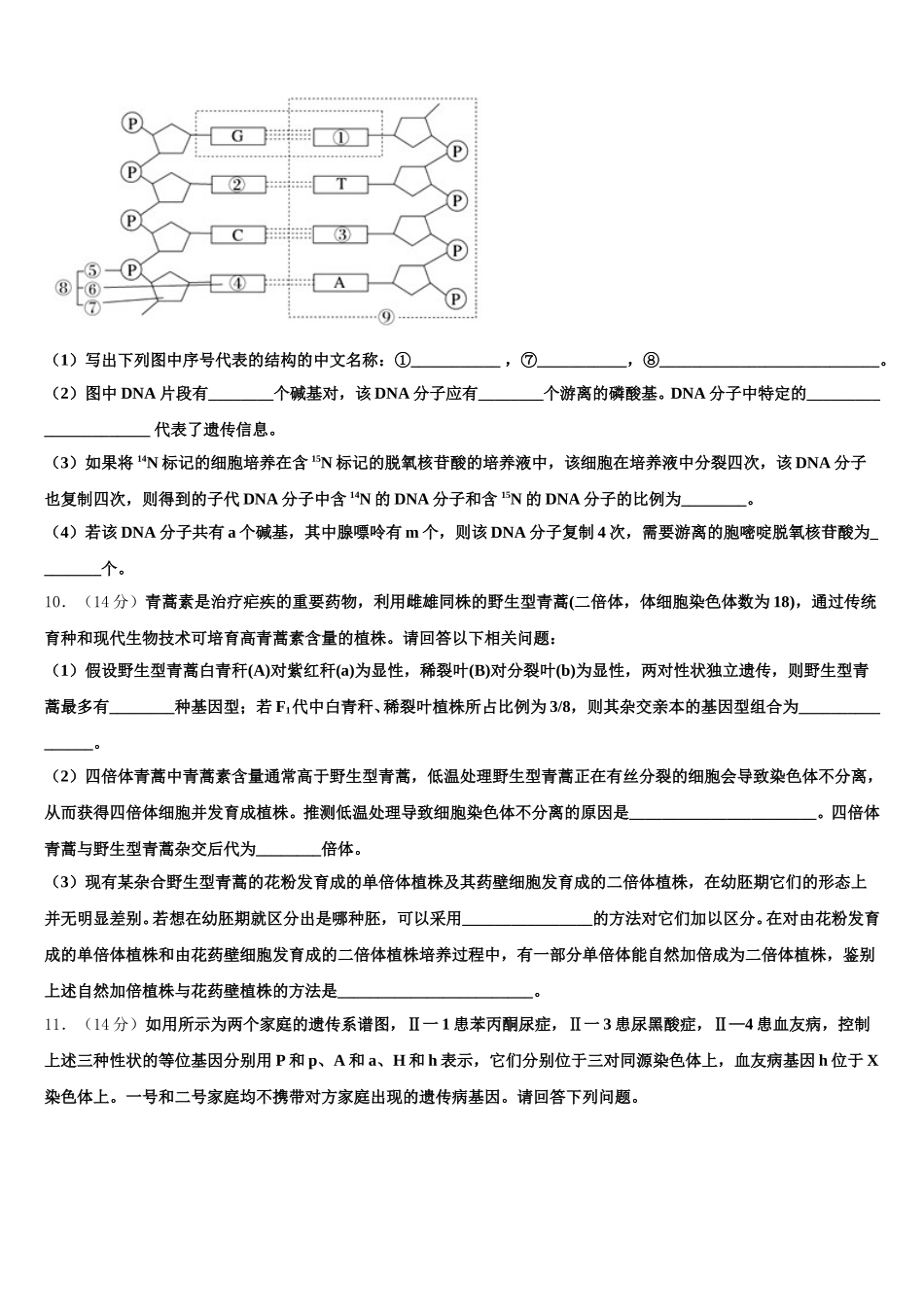 2025届广西北海中学高一生物第二学期期末达标检测试题含解析_第3页