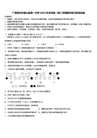 广西梧州市蒙山县第一中学2025年生物高一第二学期期末复习检测试题含解析