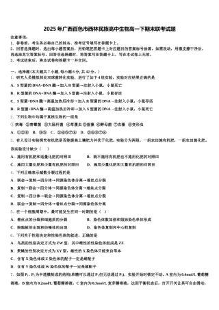 2025年广西百色市西林民族高中生物高一下期末联考试题含解析