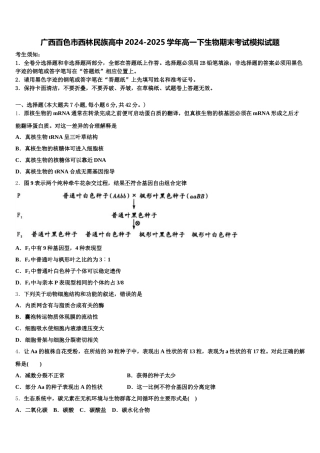 广西百色市西林民族高中2024-2025学年高一下生物期末考试模拟试题含解析