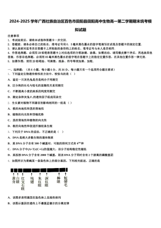 2024-2025学年广西壮族自治区百色市田阳县田阳高中生物高一第二学期期末统考模拟试题含解析