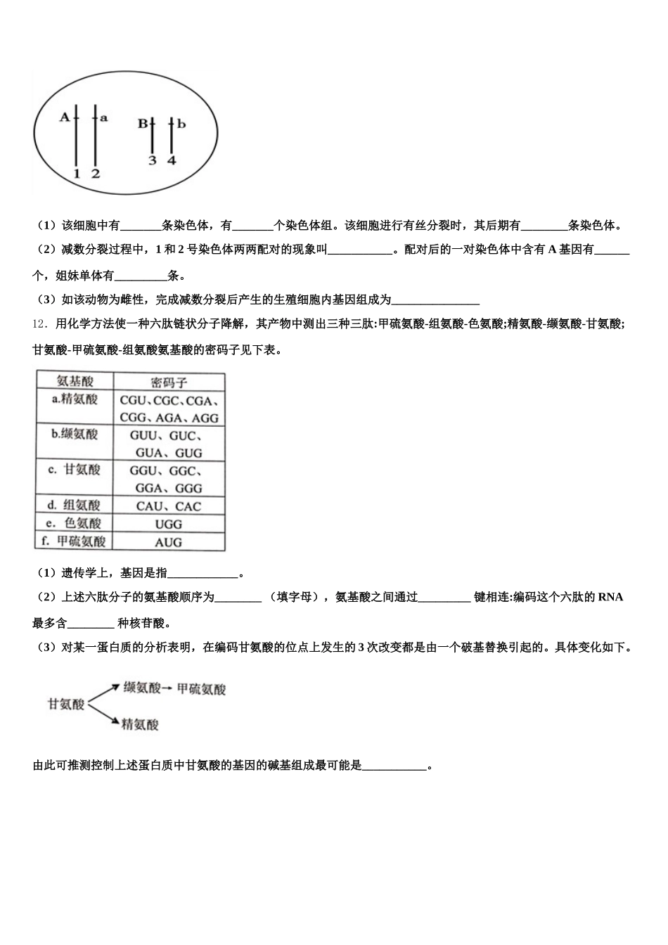 2025届广西柳州高级中学柳南校区高一下生物期末教学质量检测模拟试题含解析_第3页