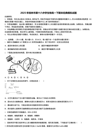 2025年桂林市第十八中学生物高一下期末经典模拟试题含解析