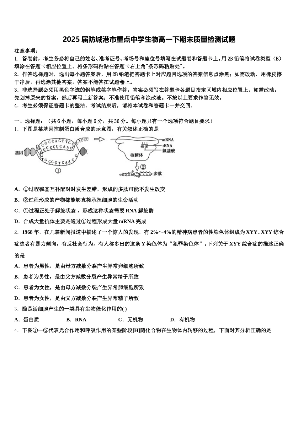 2025届防城港市重点中学生物高一下期末质量检测试题含解析_第1页