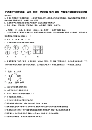 广西南宁市金伦中学、华侨、新桥、罗圩中学2025届高一生物第二学期期末预测试题含解析