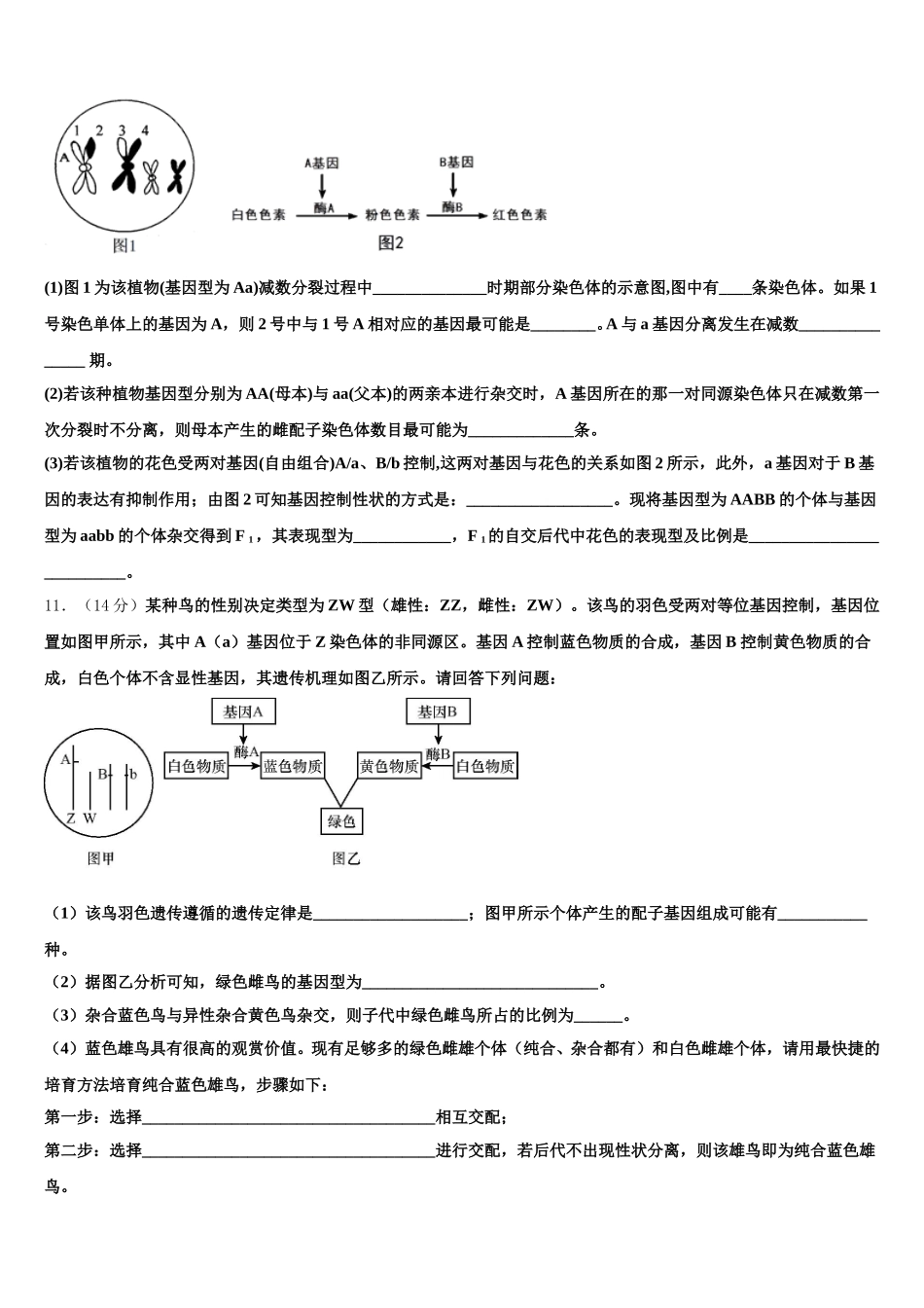 2024-2025学年广西省贺州市桂梧高中高一下生物期末联考试题含解析_第3页