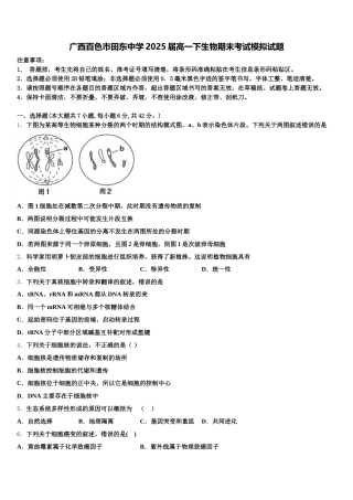 广西百色市田东中学2025届高一下生物期末考试模拟试题含解析