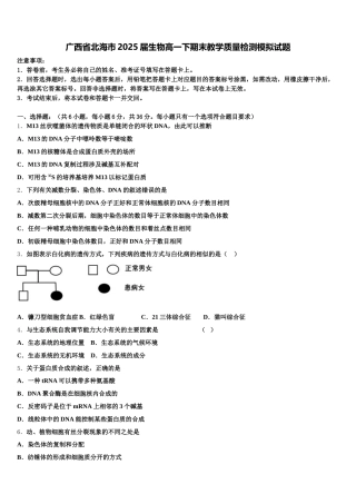广西省北海市2025届生物高一下期末教学质量检测模拟试题含解析