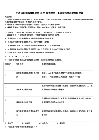 广西省贺州市桂梧高中2025届生物高一下期末综合测试模拟试题含解析