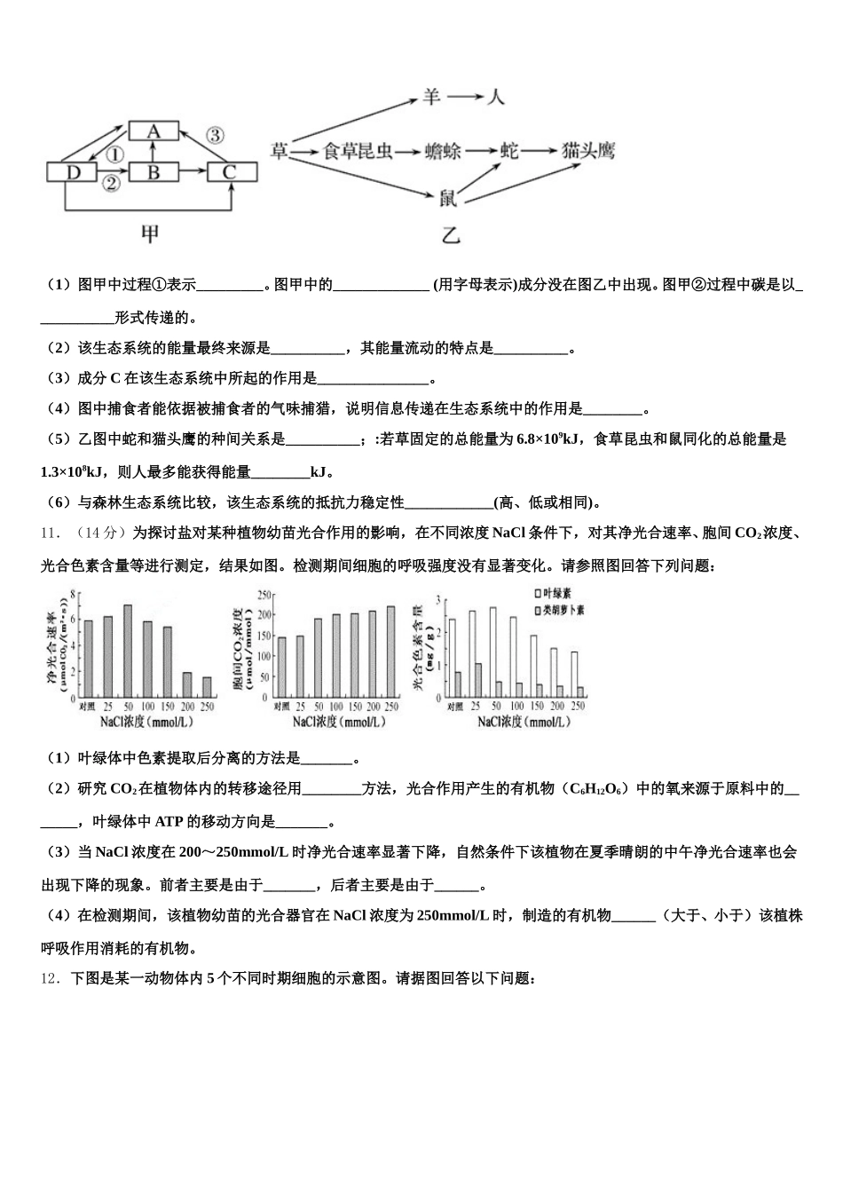 2025届南宁市第二中学生物高一下期末监测试题含解析_第3页