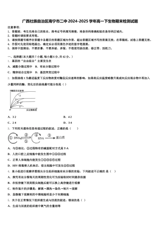 广西壮族自治区南宁市二中2024-2025学年高一下生物期末检测试题含解析