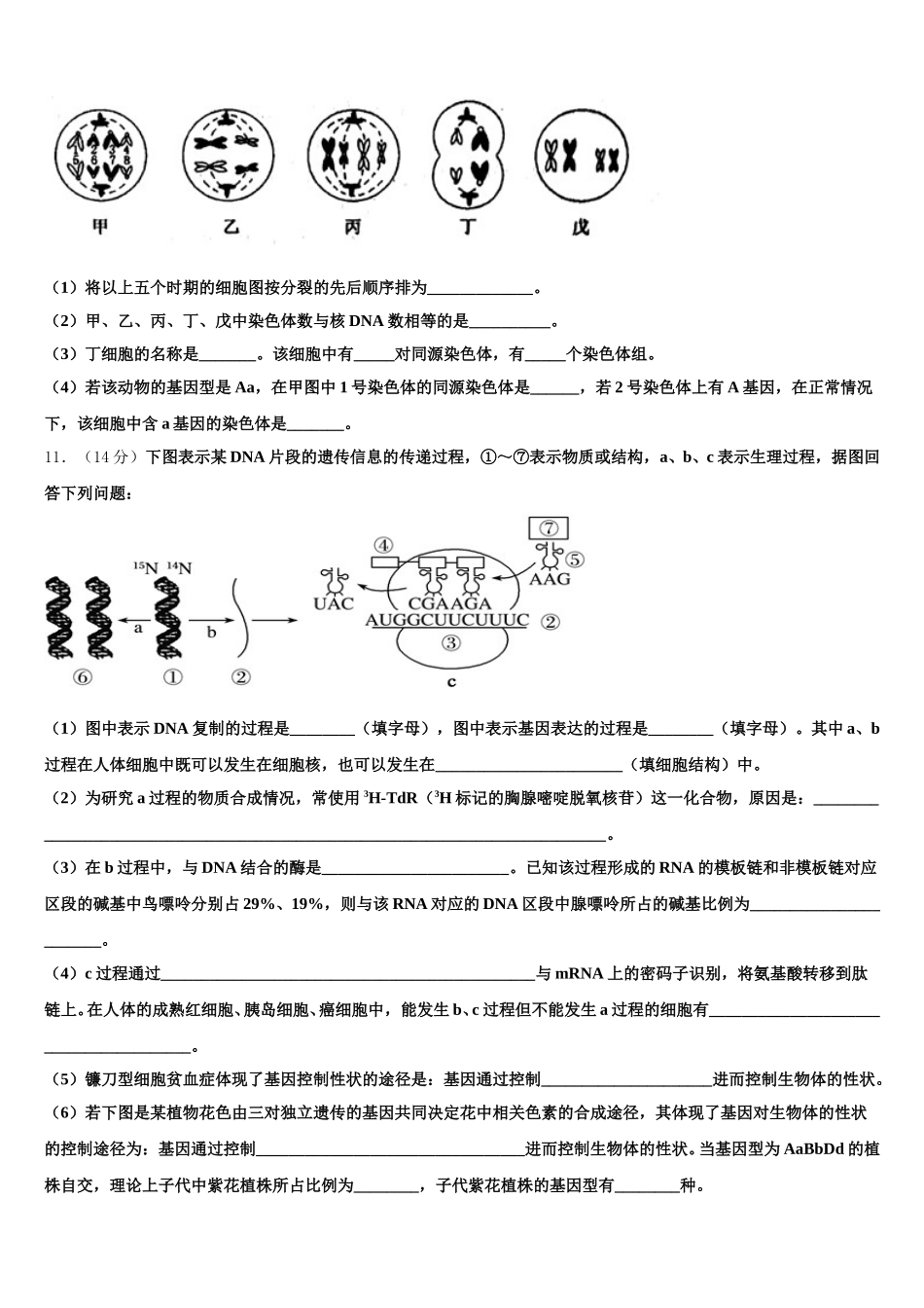 2025年广西贵港市高级中学高一生物第二学期期末质量检测试题含解析_第3页