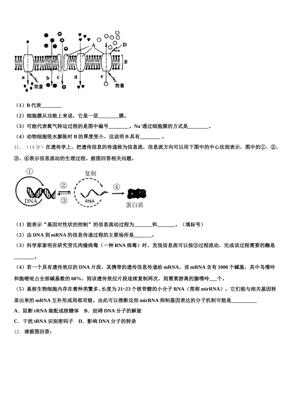 2025年广西南宁八中生物高一第二学期期末考试模拟试题含解析_第3页