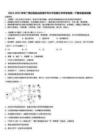 2024-2025学年广西壮族自治区南宁市兴宁区第三中学生物高一下期末监测试题含解析