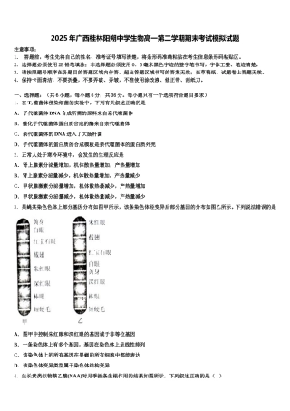 2025年广西桂林阳朔中学生物高一第二学期期末考试模拟试题含解析
