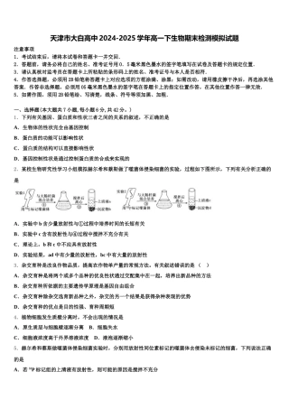 天津市大白高中2024-2025学年高一下生物期末检测模拟试题含解析