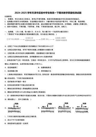 2024-2025学年天津市实验中学生物高一下期末教学质量检测试题含解析