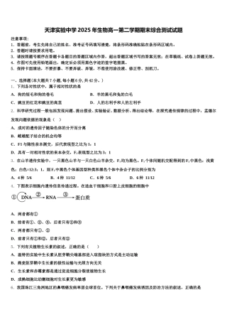 天津实验中学2025年生物高一第二学期期末综合测试试题含解析