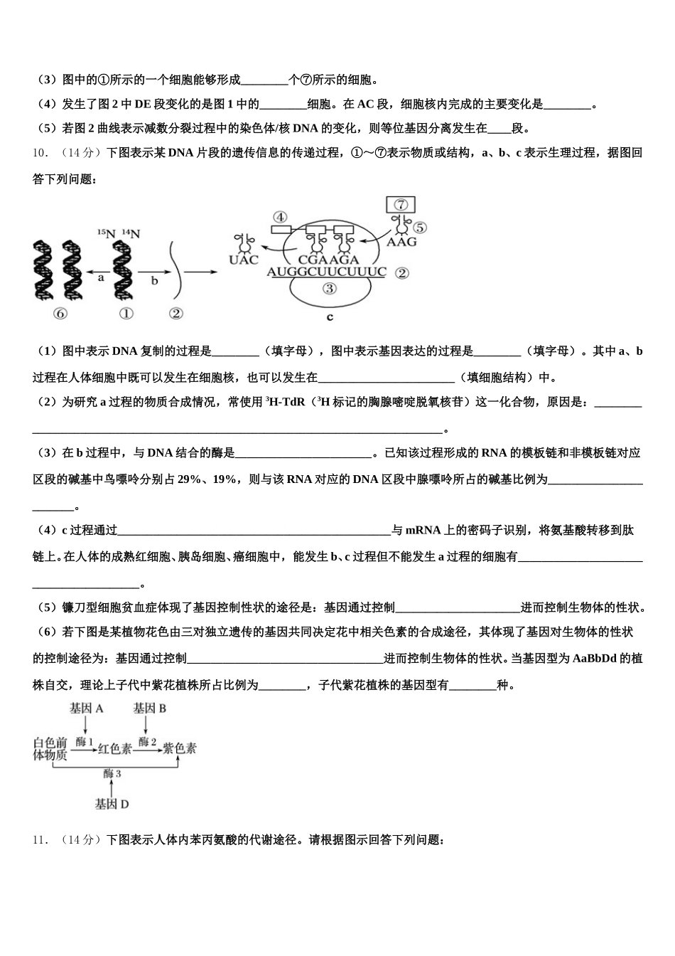 天津市英华中学2025年高一下生物期末经典模拟试题含解析_第3页