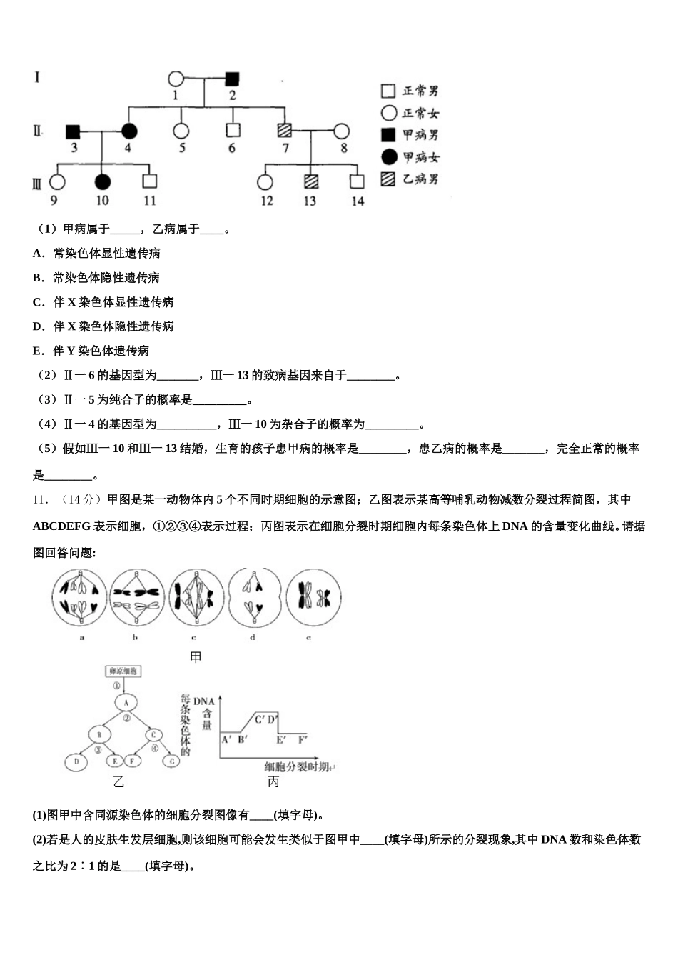 天津一中2025年生物高一第二学期期末达标检测模拟试题含解析_第3页