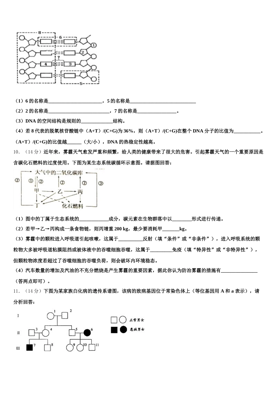 天津市新四区示范校2024-2025学年高一下生物期末教学质量检测试题含解析_第3页