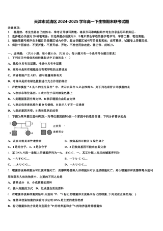 天津市武清区2024-2025学年高一下生物期末联考试题含解析