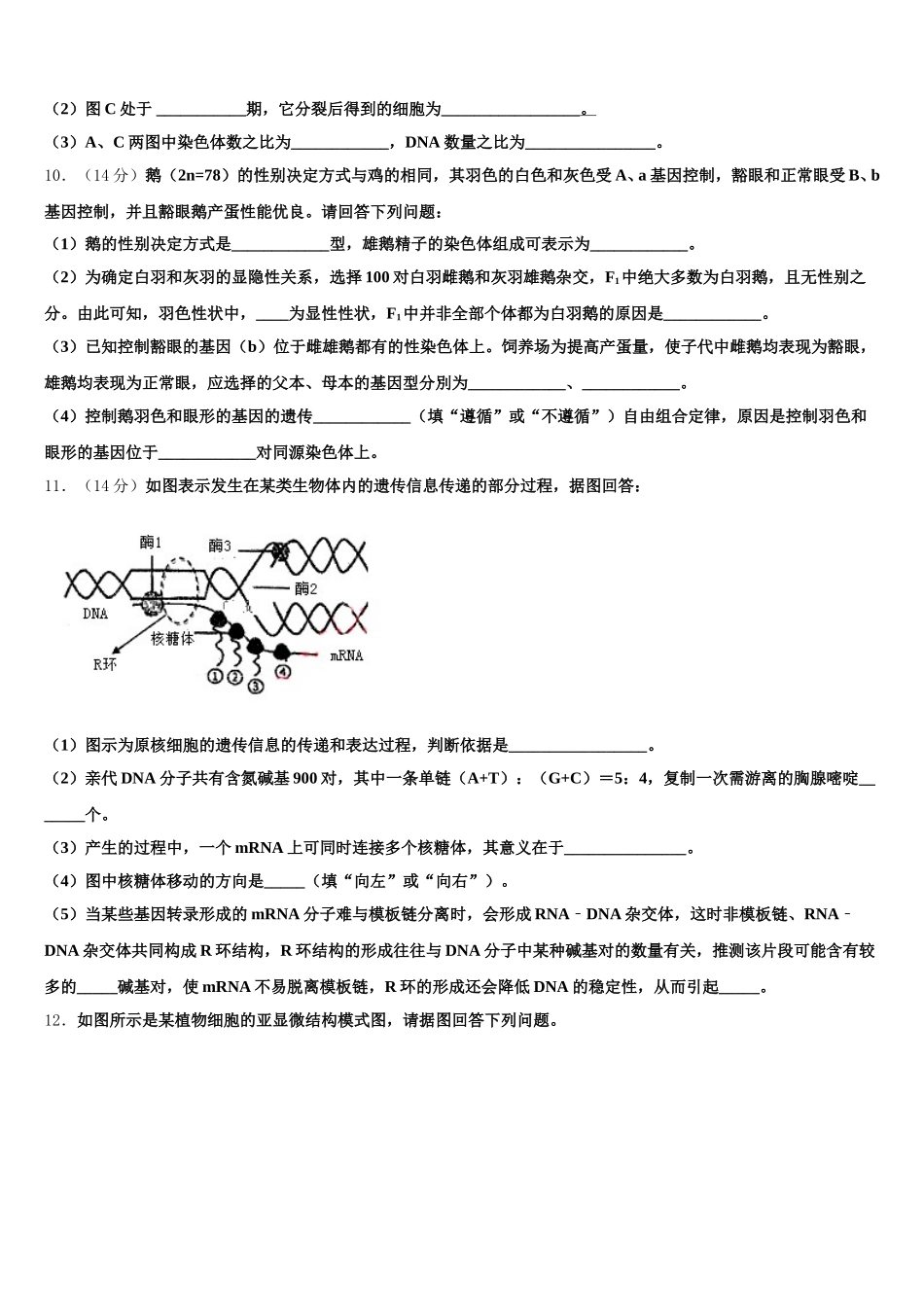 天津市滨海新区塘沽滨海中学2025届生物高一第二学期期末质量跟踪监视试题含解析_第3页