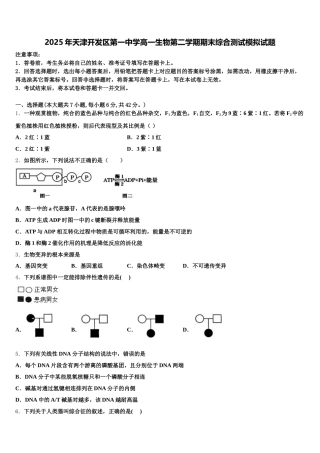 2025年天津开发区第一中学高一生物第二学期期末综合测试模拟试题含解析