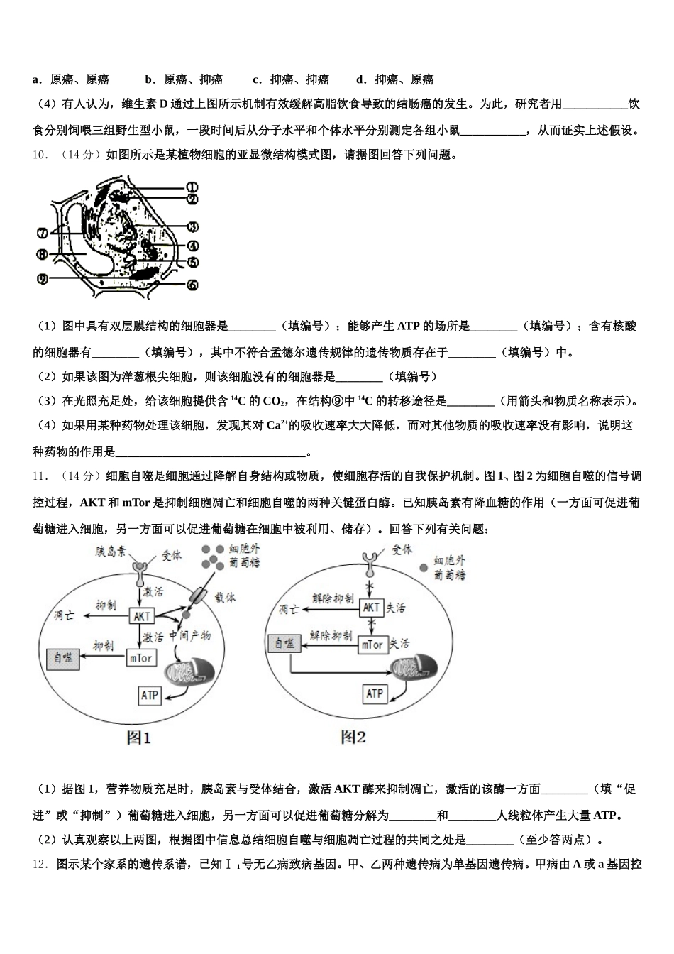 2025年天津市第二十中学高一下生物期末综合测试试题含解析_第3页