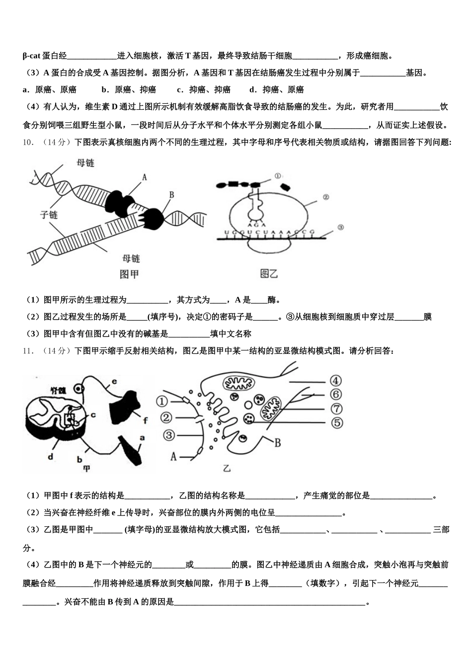 2025届天津市河北区高一生物第二学期期末经典模拟试题含解析_第3页
