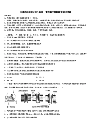天津市和平区2025年高一生物第二学期期末调研试题含解析