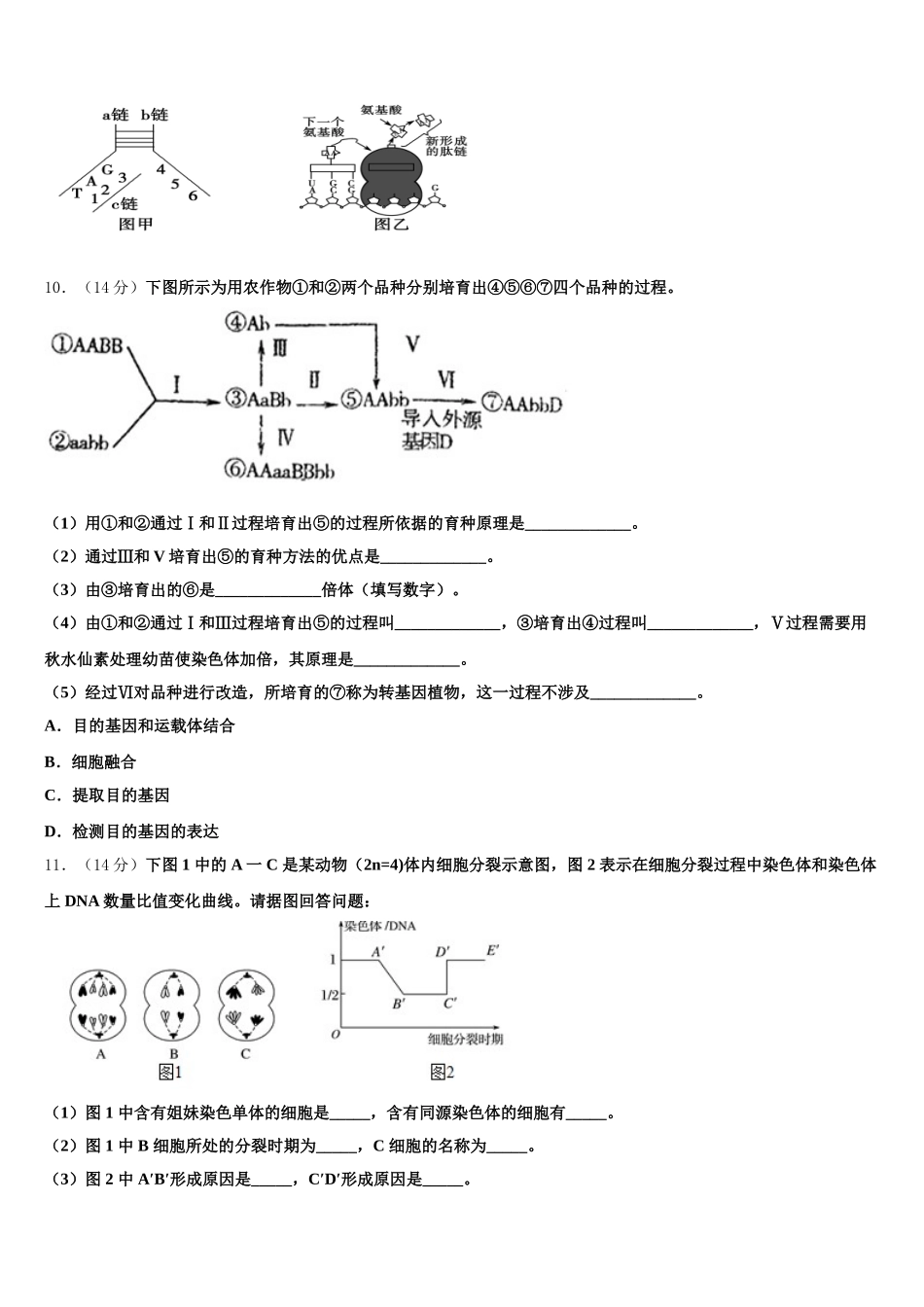 2025届天津市宝坻区大口屯高级中学生物高一第二学期期末质量检测试题含解析_第3页