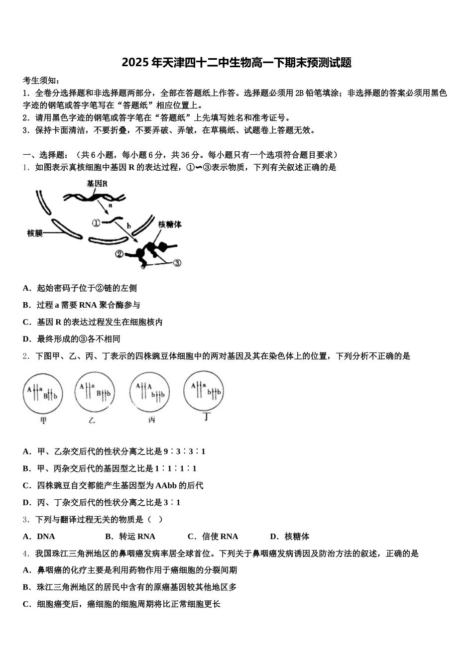 2025年天津四十二中生物高一下期末预测试题含解析_第1页