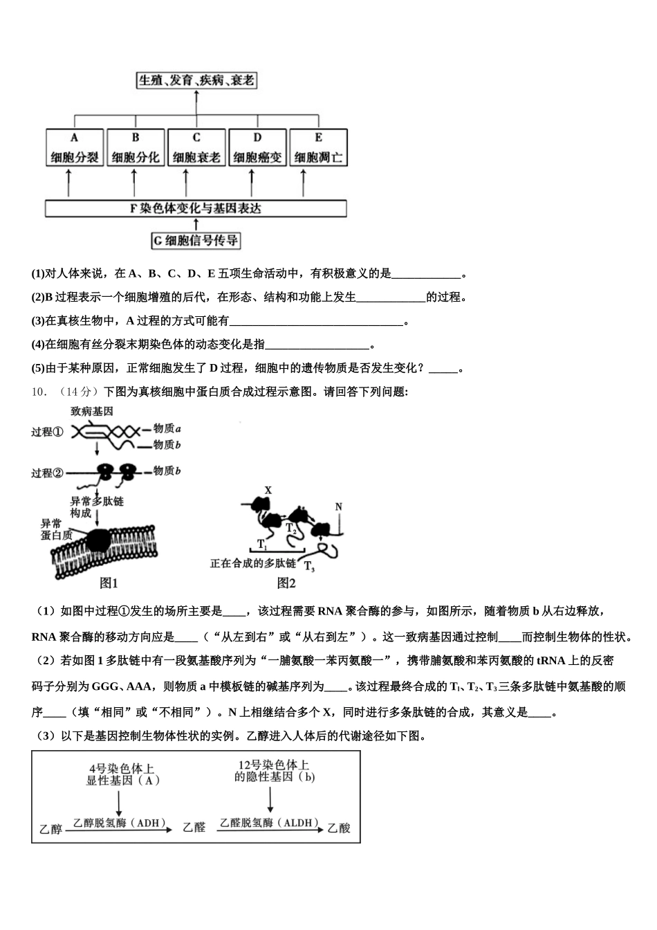 天津耀华中学2025年生物高一下期末经典模拟试题含解析_第3页