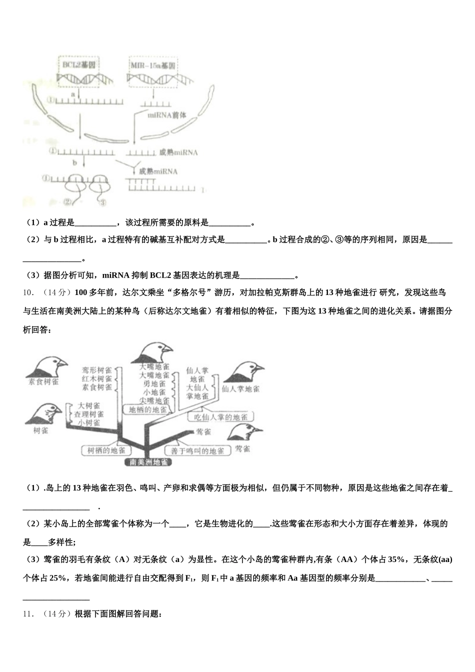 2025年天津市和平区第一中学高一下生物期末学业质量监测模拟试题含解析_第3页