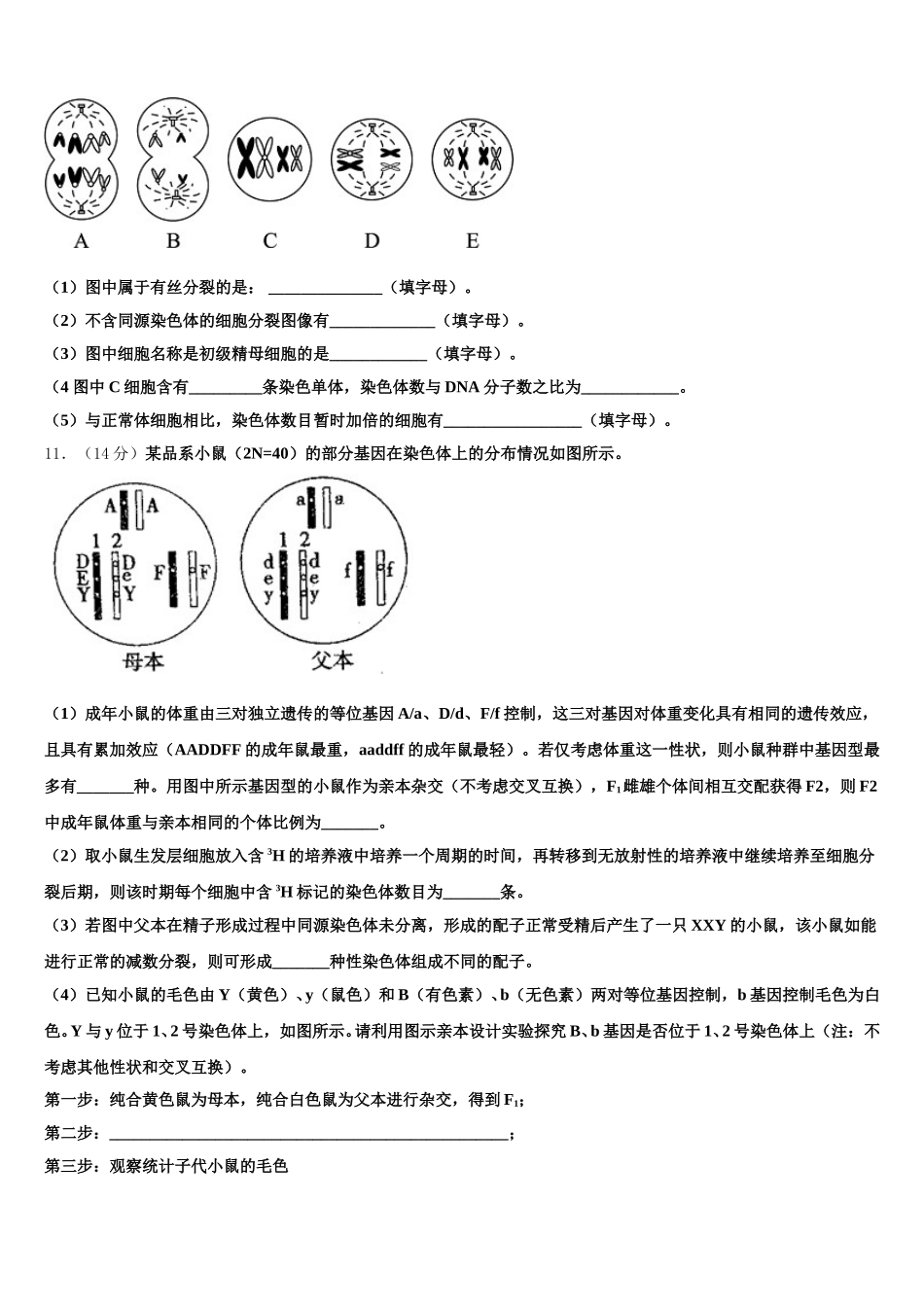2025年天津市大白高中生物高一第二学期期末学业质量监测试题含解析_第3页