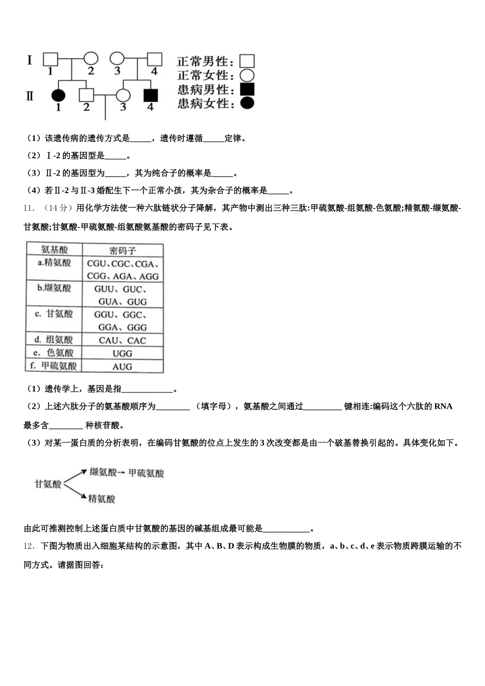 2025届天津市塘沽滨海中学高一下生物期末考试试题含解析_第3页