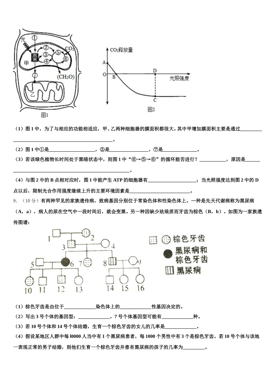 天津部分区2024-2025学年生物高一下期末联考模拟试题含解析_第3页
