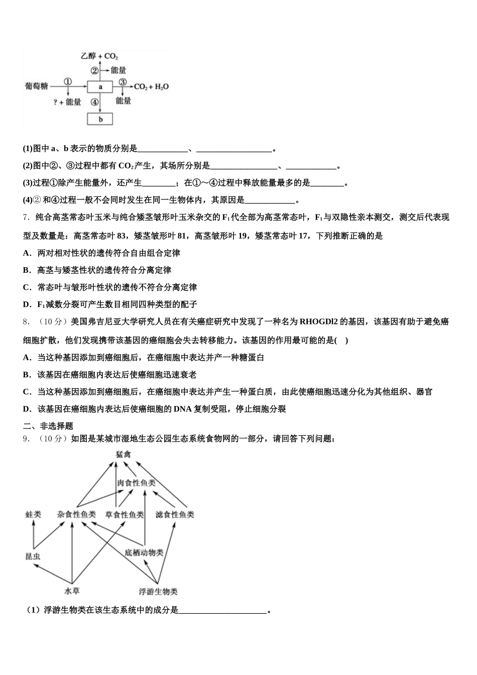 陕西省宁强县天津高级中学2024-2025学年高一下生物期末经典试题含解析_第2页