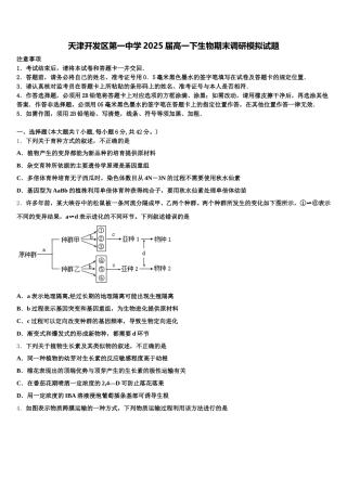 天津开发区第一中学2025届高一下生物期末调研模拟试题含解析
