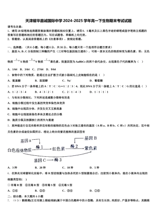 天津耀华嘉诚国际中学2024-2025学年高一下生物期末考试试题含解析
