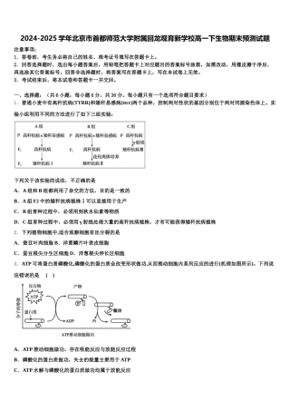 2024-2025学年北京市首都师范大学附属回龙观育新学校高一下生物期末预测试题含解析