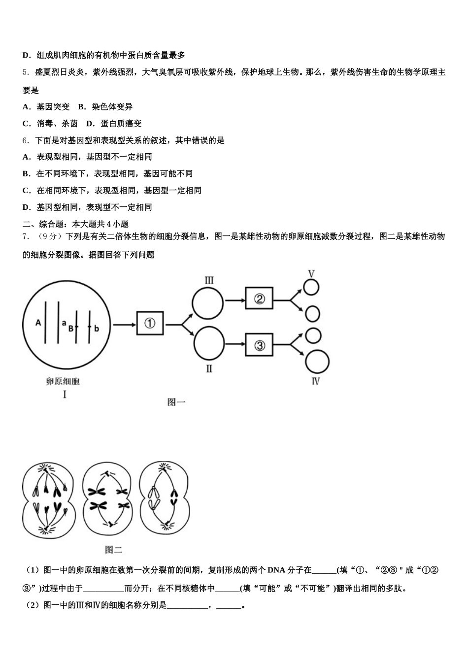 北京市东城五中2025年生物高一下期末学业质量监测试题含解析_第2页