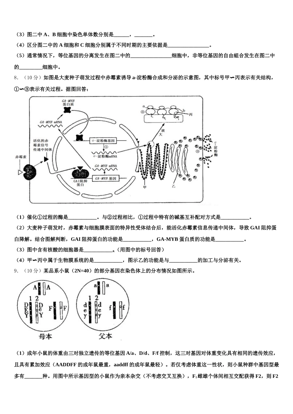 北京市东城五中2025年生物高一下期末学业质量监测试题含解析_第3页