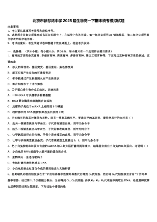 北京市徐悲鸿中学2025届生物高一下期末统考模拟试题含解析